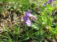 2008.03.28%20-004_R.jpg