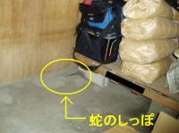 2010.07.26%20004.jpg