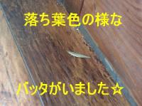 2010.10.12%20003.jpg