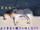 2011.09.06%20006.jpg