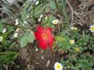 KISANUKI2013.04.23%20006.jpg