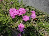 KISANUKI2013.05.07%20004.jpg